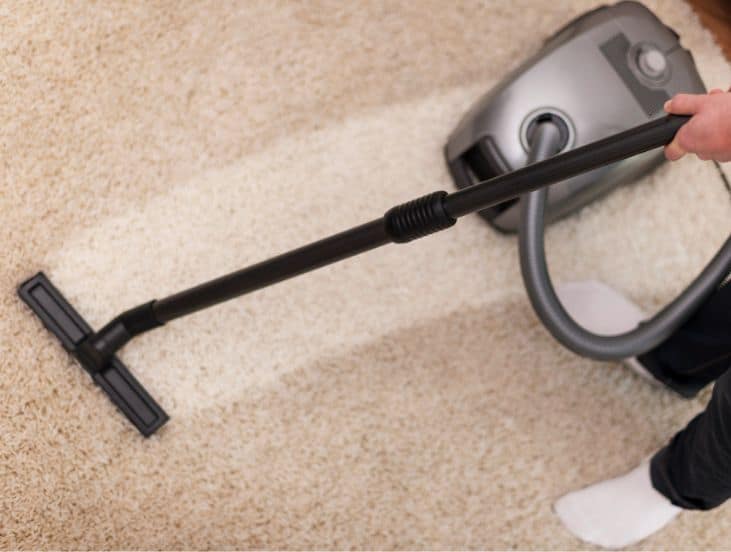 Benefits of Carpet Cleaning 1